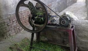 IMG_20220315_212344